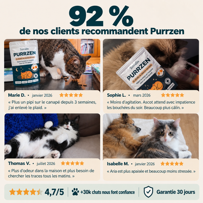 Bouchées apaisantes pour chat Purrzen - PRZ-CA
