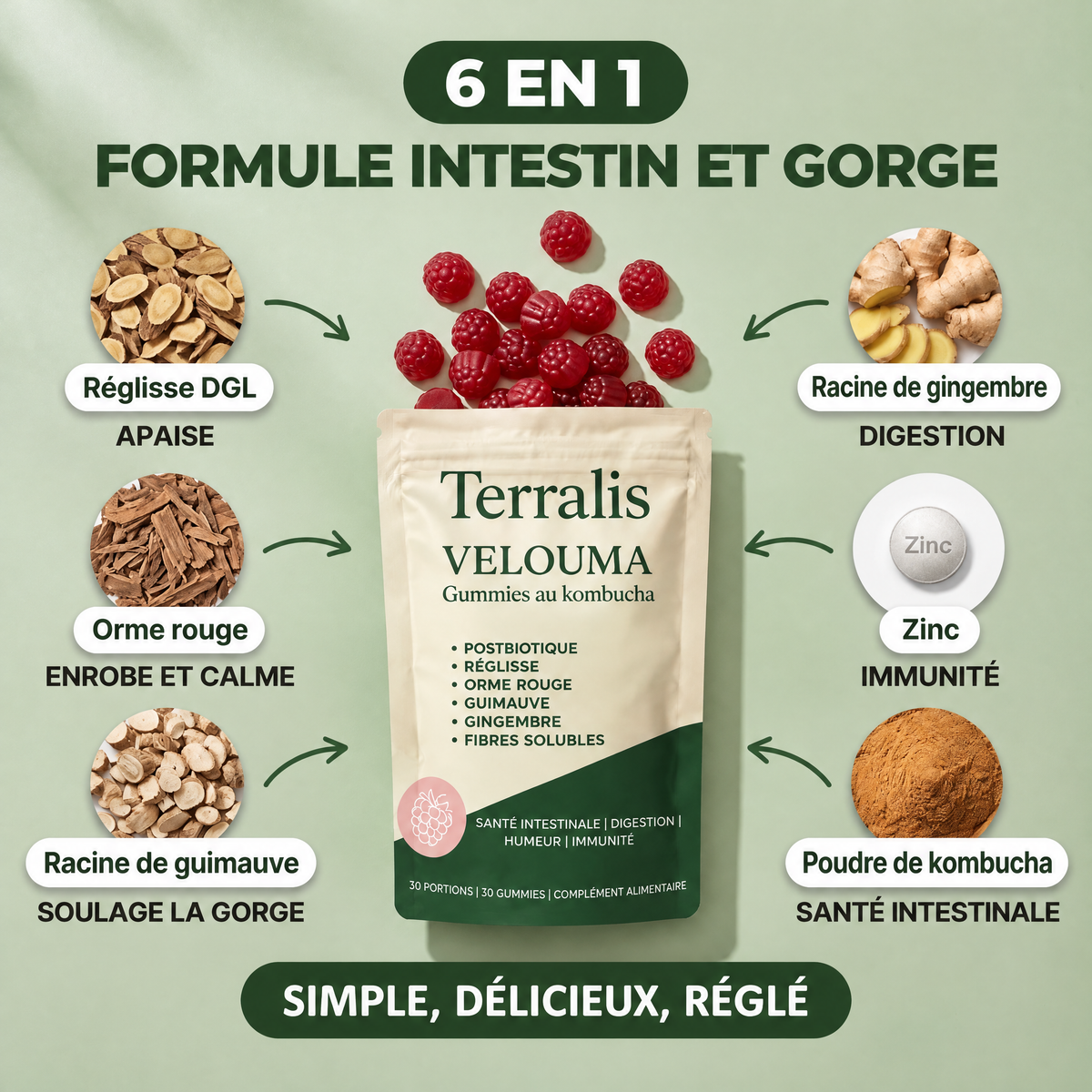Gummies au kombucha pour la gorge Velouma - VLM-CA