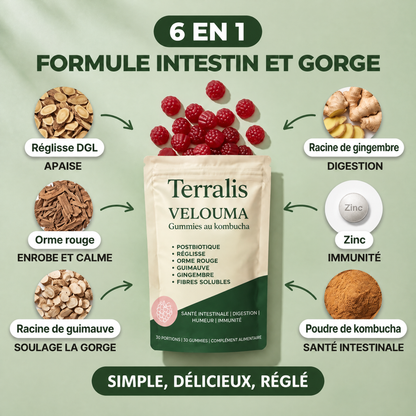 Gummies au kombucha pour la gorge Velouma - VLM-CA