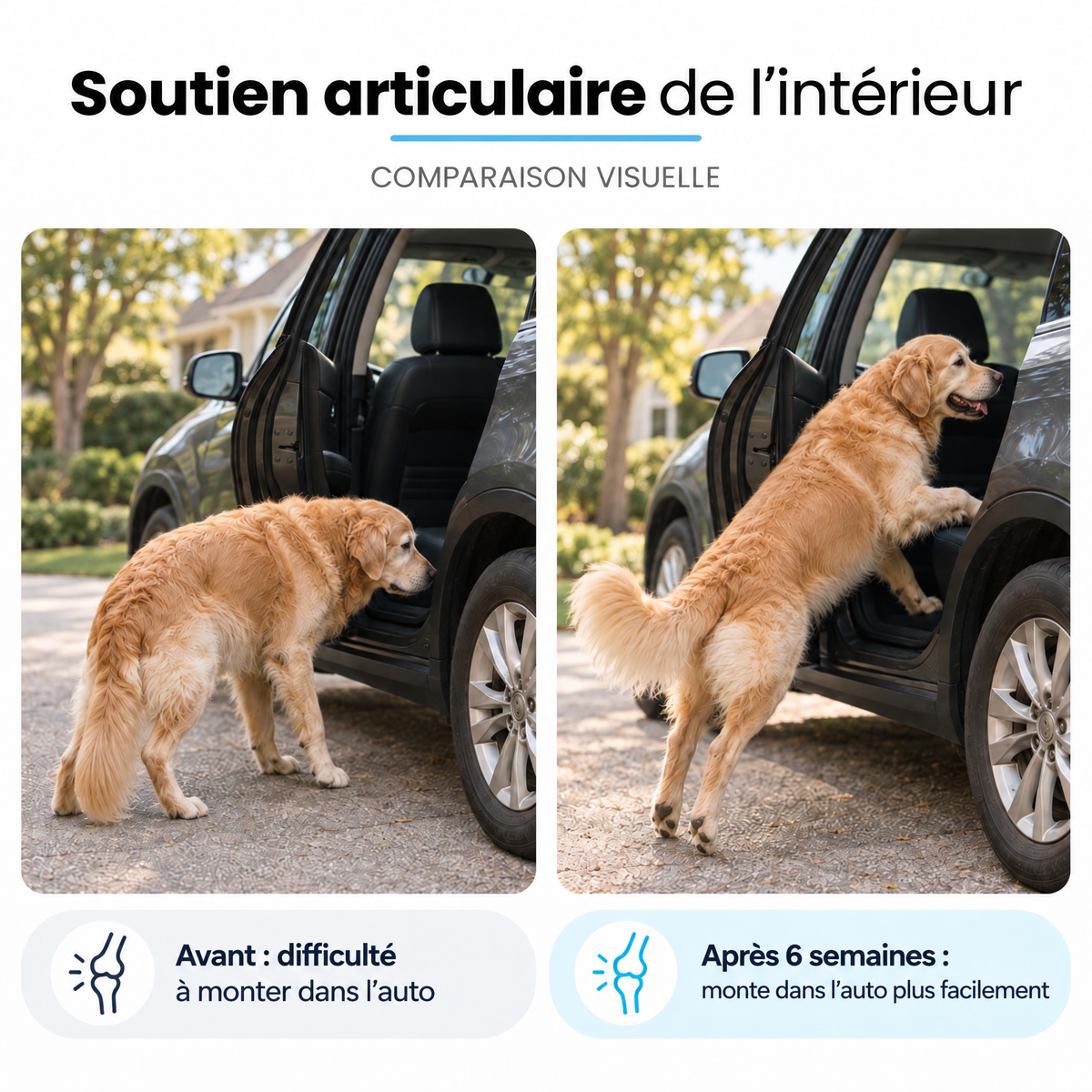 Collagène liquide pour chien Furova - FRV-CA