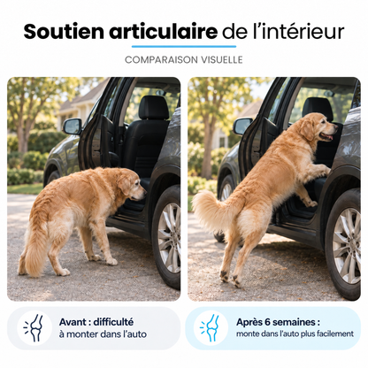 Collagène liquide pour chien Furova - FRV-CA