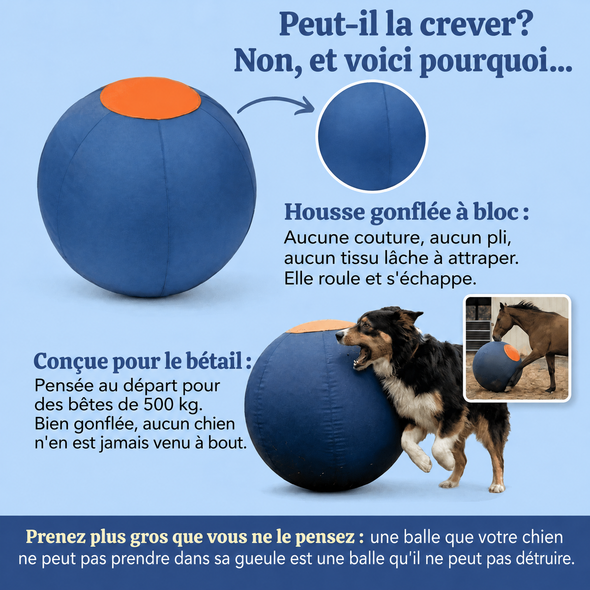 Balle de troupeau Herdly - 4137HRD-CA