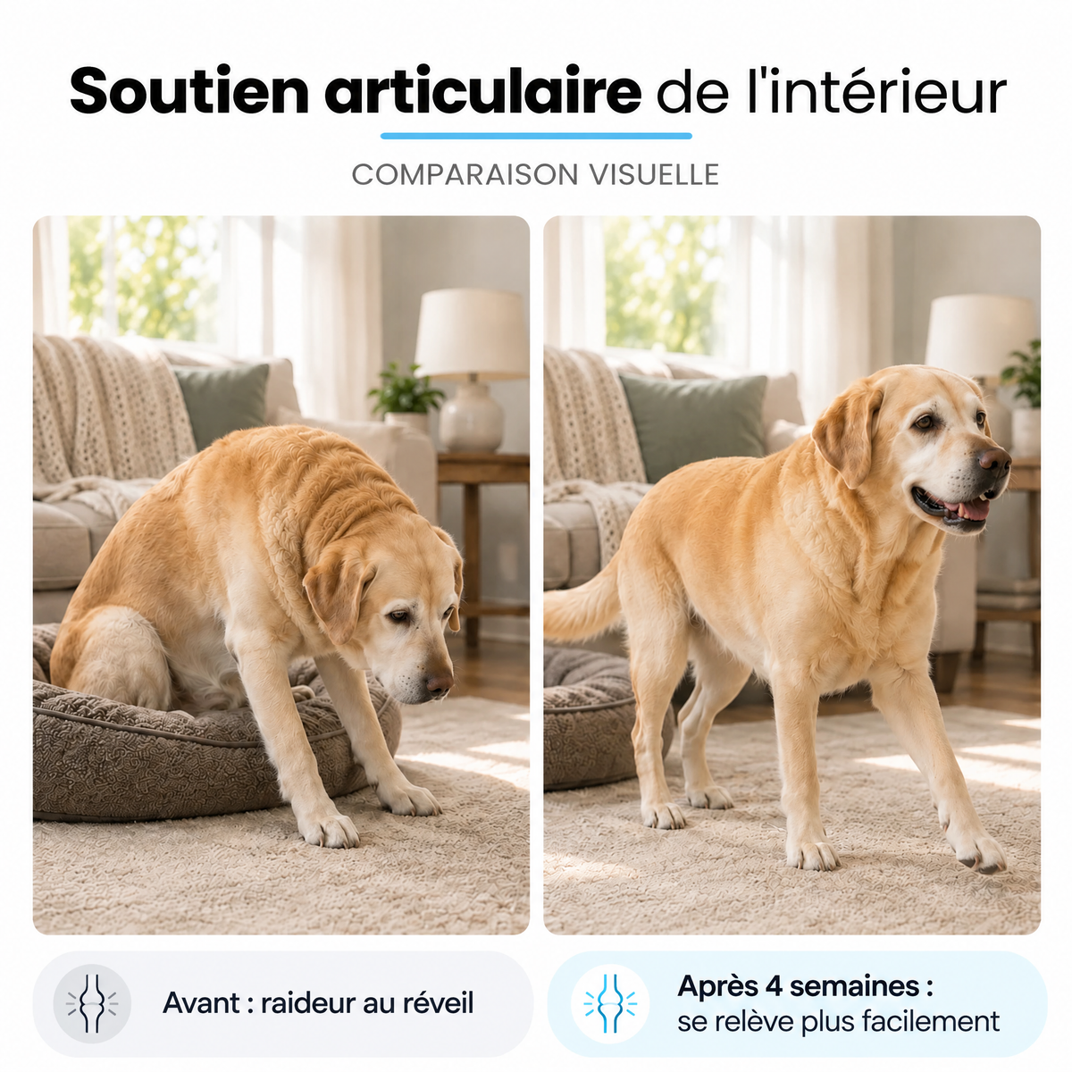 Collagène liquide pour chien Furova - FRV-CA
