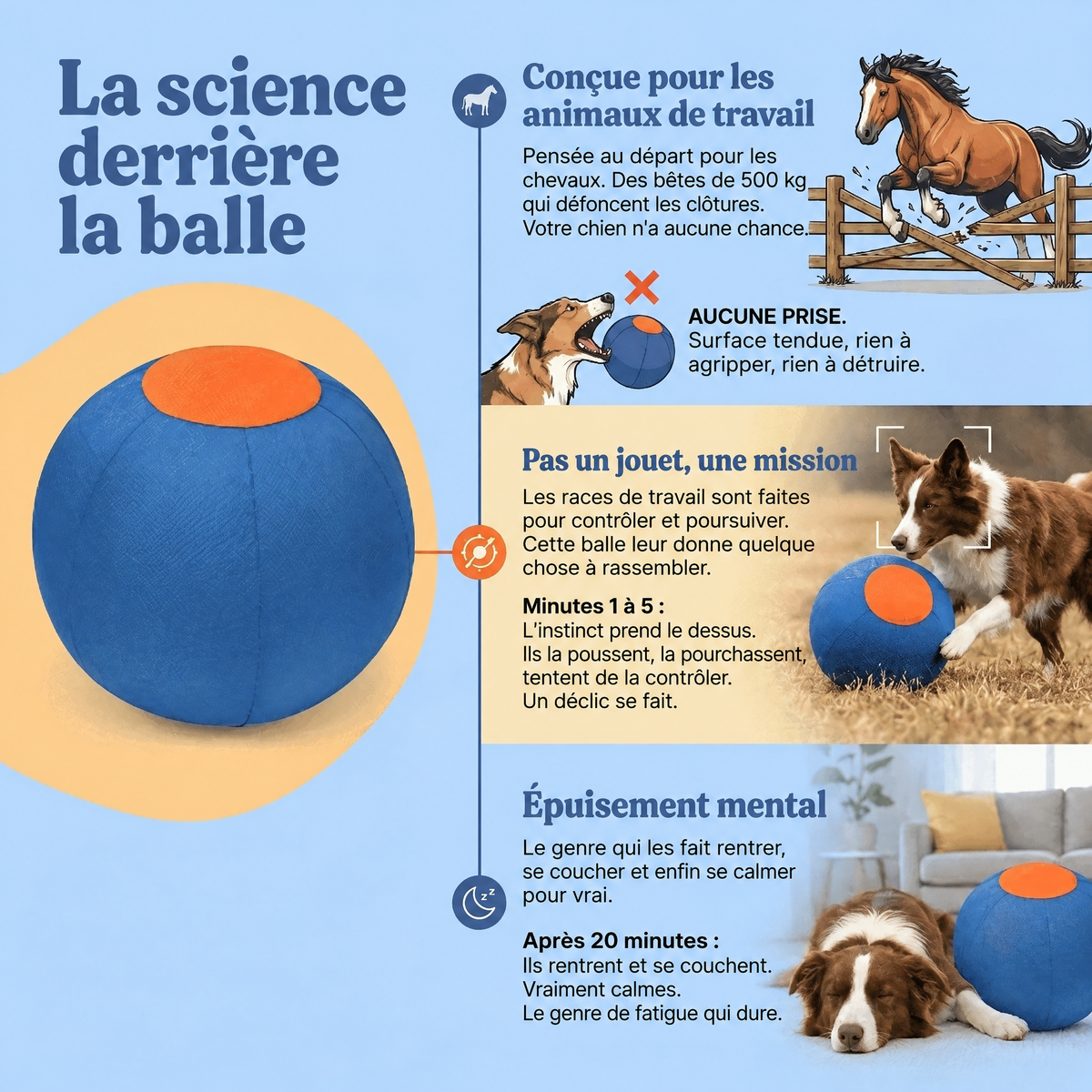 Balle de troupeau Herdly - 4137HRD-CA