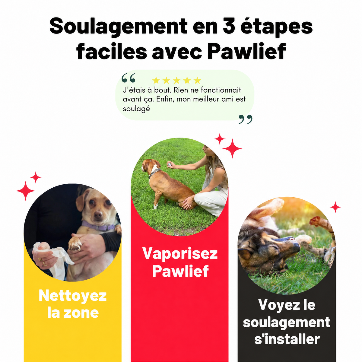 Spray apaisant pour la peau des chiens et chats Pawlief - PWL-CA
