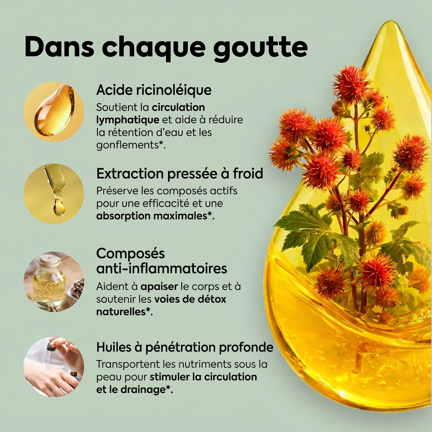Set d'huile de ricin Canibiome™