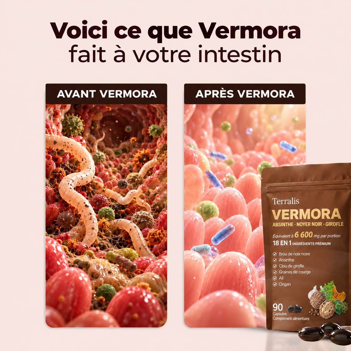 Capsules antiparasitaires Vermora - VRM-CA
